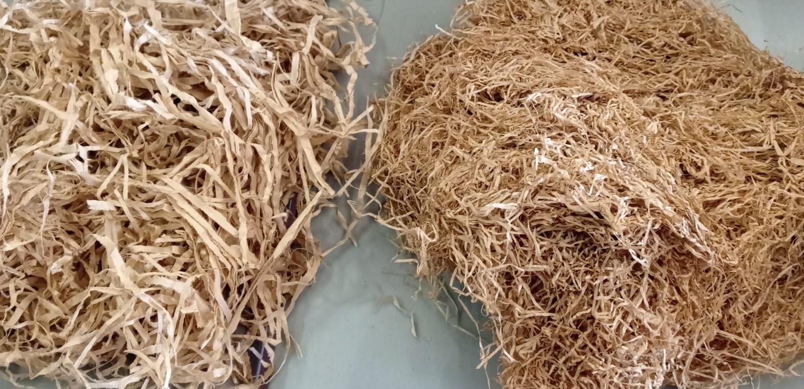 PAGLIETTA CARTA FINE E GROSSA