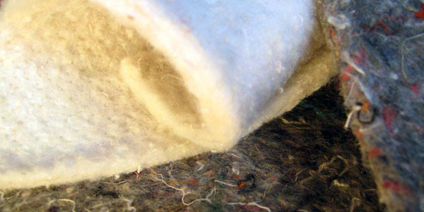 Prodottispecialiovatte